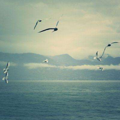 乐动体育网站官网版官方入口